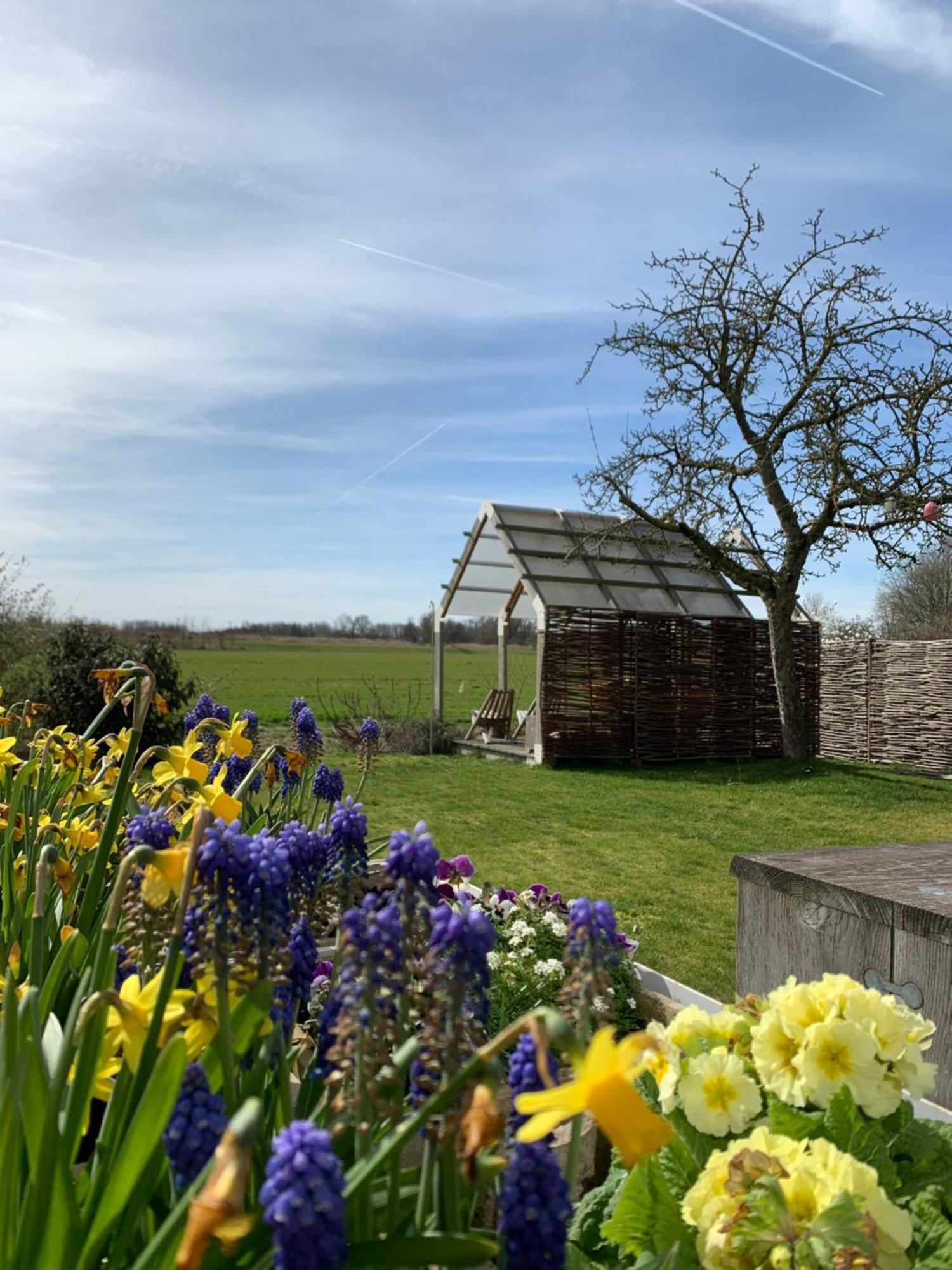 Bed and Breakfast Logieslogees Tielrode Exteriér fotografie